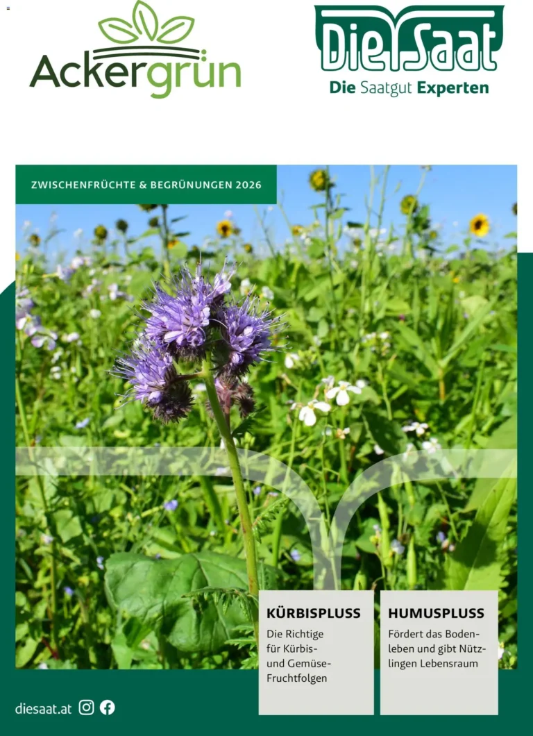 Lagerhaus Flugblatt ab 26.03.2026